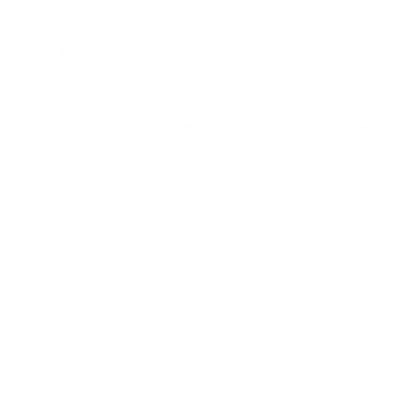 Zorro